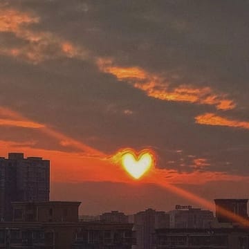 Người dùng